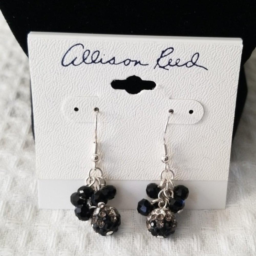NWT. Allison Reed Earrings